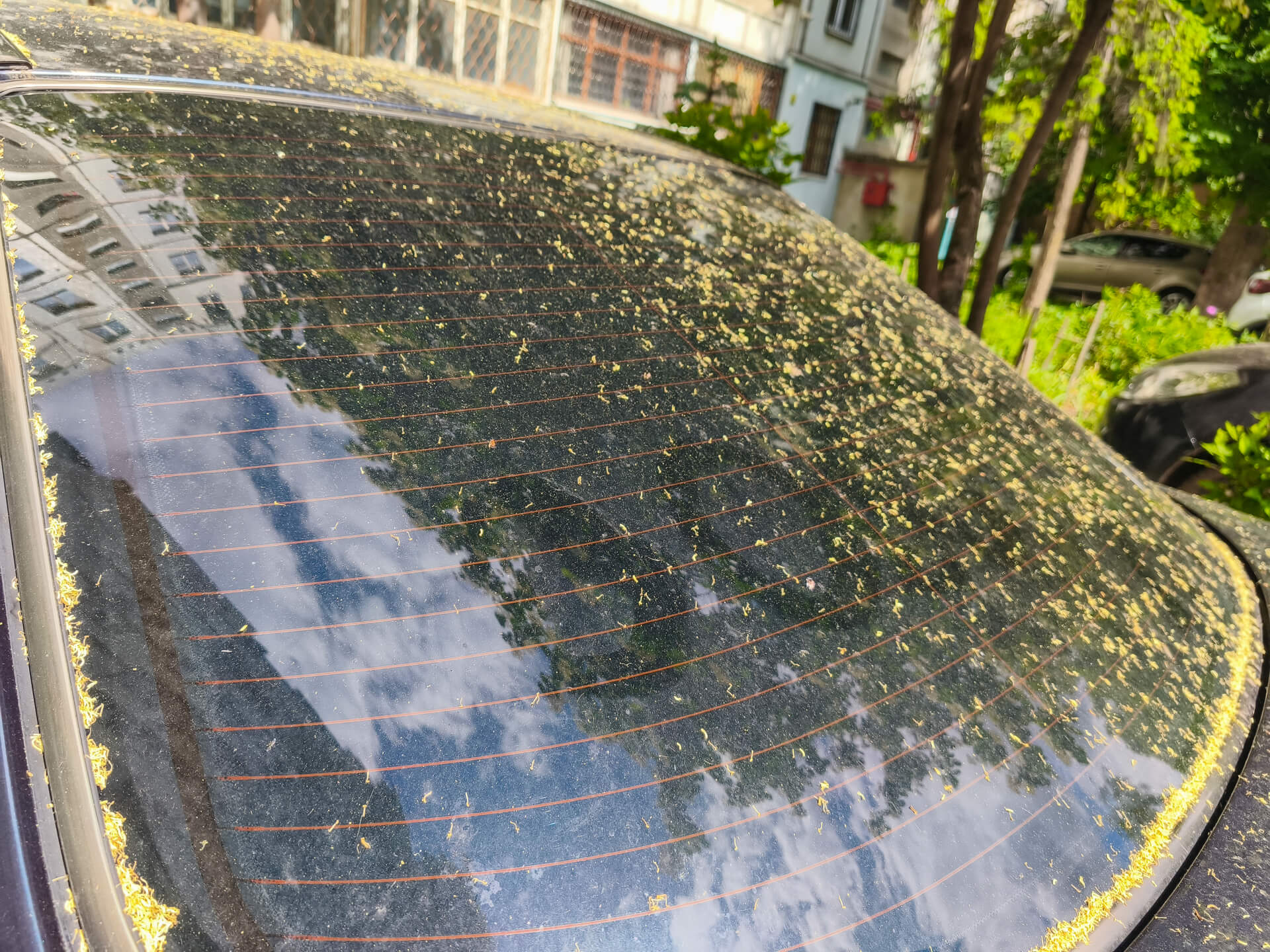 Do You Still Need Car Insurance If You Don’t Drive Often? (Like, at all?)